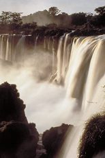 دانلود فیلم Empire of the Desert Ants 2011