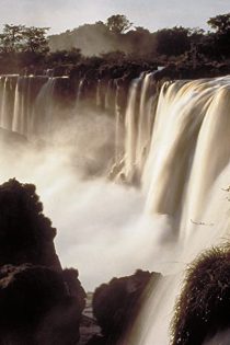 دانلود فیلم Empire of the Desert Ants 2011