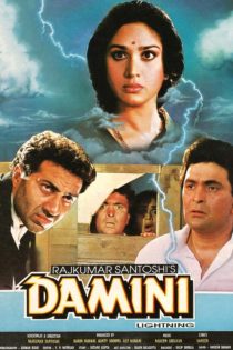 دانلود دوبله فارسی فیلم Damini 1993