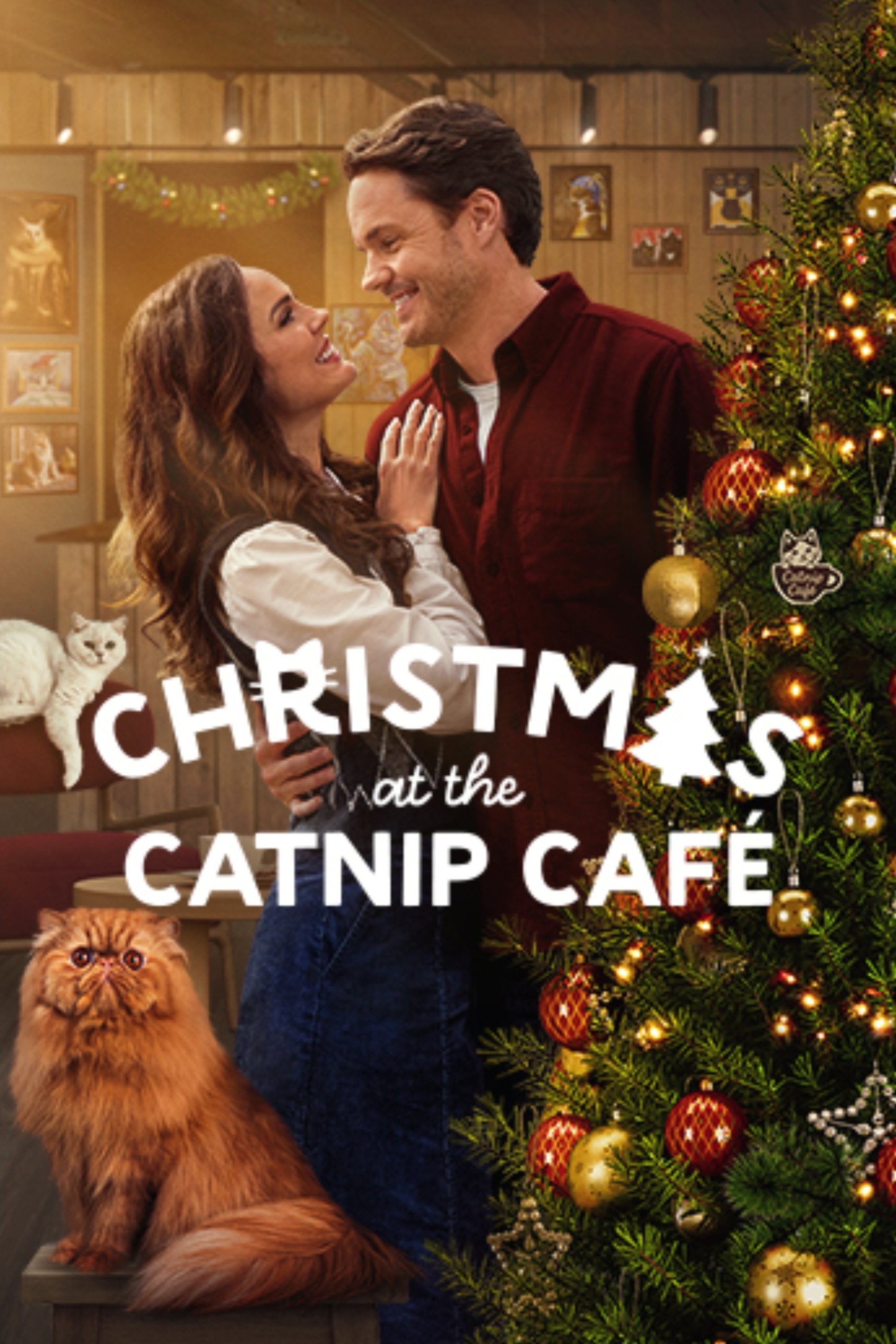 دانلود فیلم Christmas at the Catnip Cafe 2025 با زیرنویس چسبیده دانلود فیلم Christmas at the Catnip Cafe 2025 با زیرنویس چسبیده